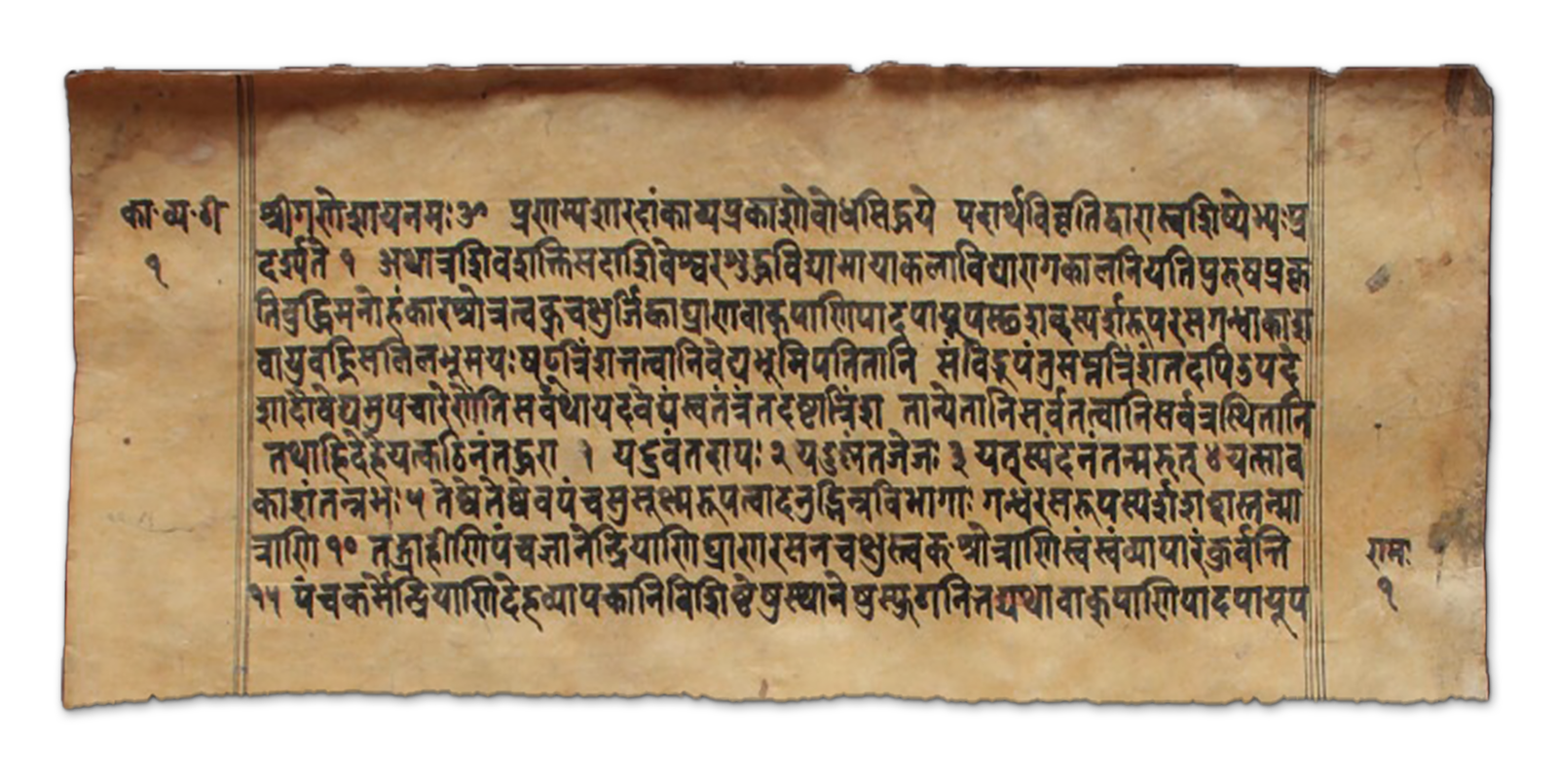 Mammaṭa
