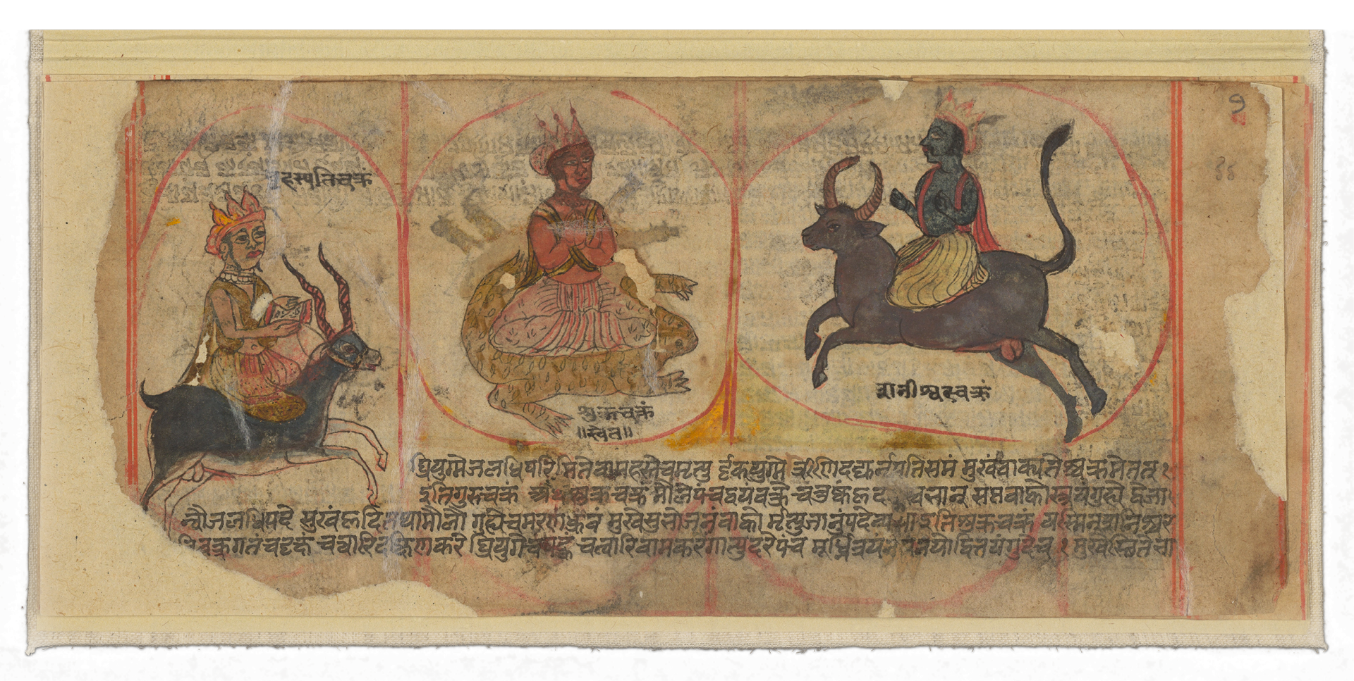 Wellcome Pingree Project Image