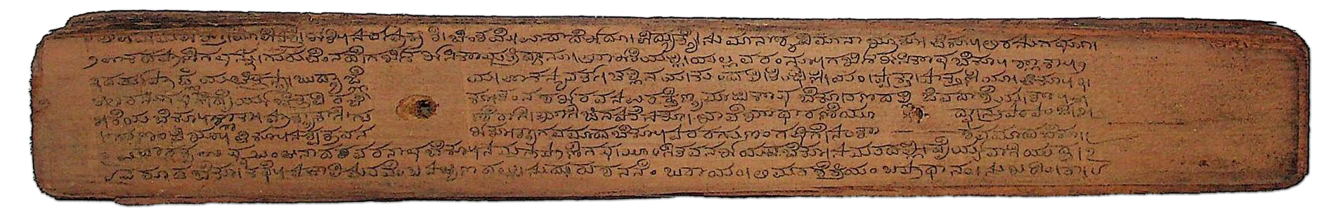 NEEM Image